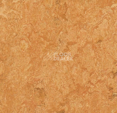 Линолеум Forbo Marmoleum Marbled Real 3174 Sahara фото 1 | FLOORDEALER
